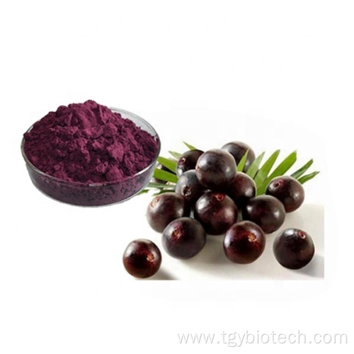 Best Price Acai Berry Extract Maqui Berry Powder